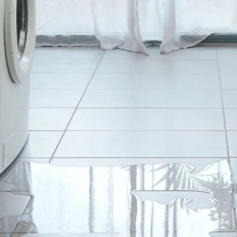 Appliance Leak Cleanup in Castine, ME