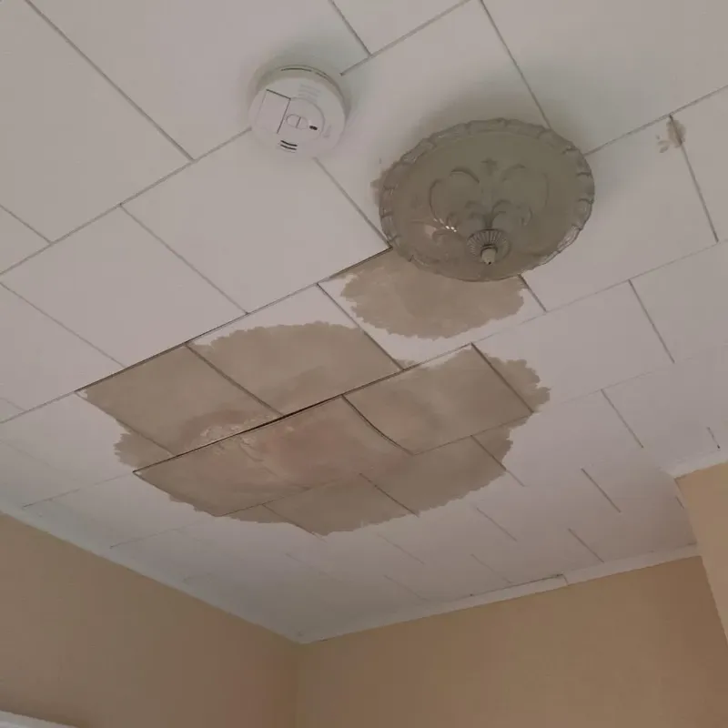 Ceiling Water Damage Repair in Castine, ME
