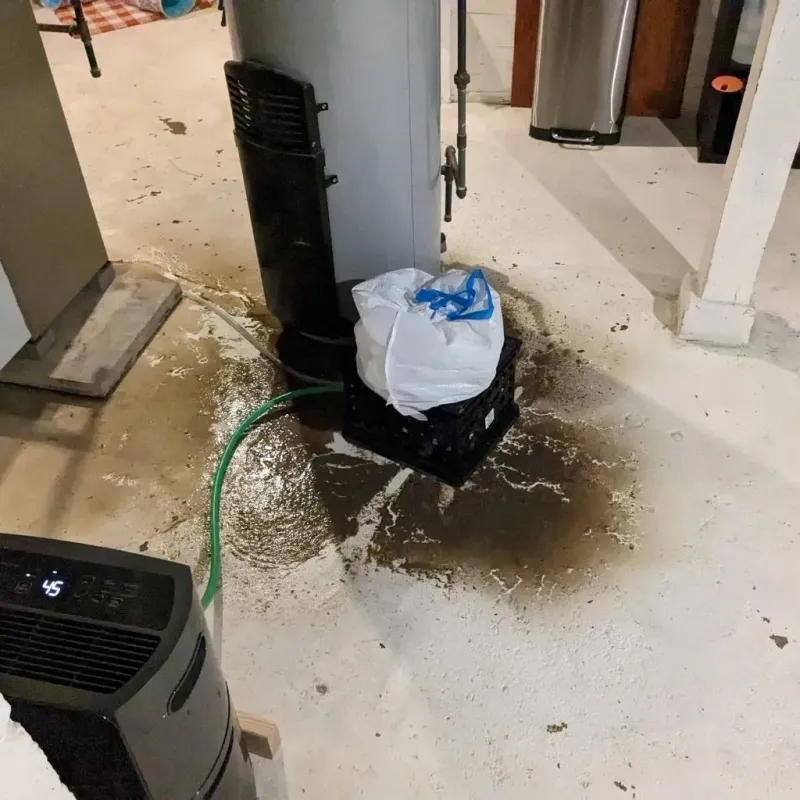 Sewage Backup Cleanup Service in Castine, ME